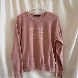 Abercrombie & Fitch Dusty Rose Crew Neck Sweater
